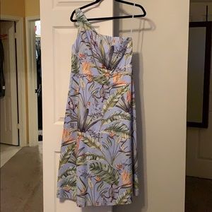 Ann Taylor Tropical One Shoulder Dress